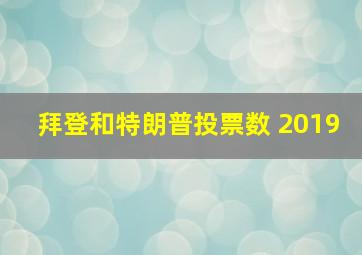 拜登和特朗普投票数 2019